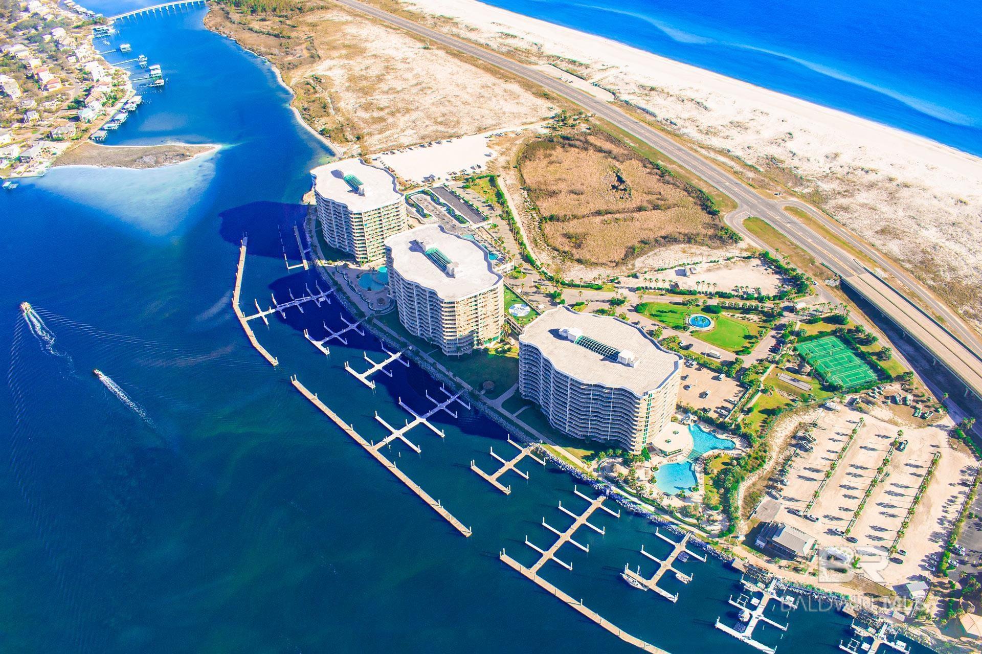 Photo of Listing #376836