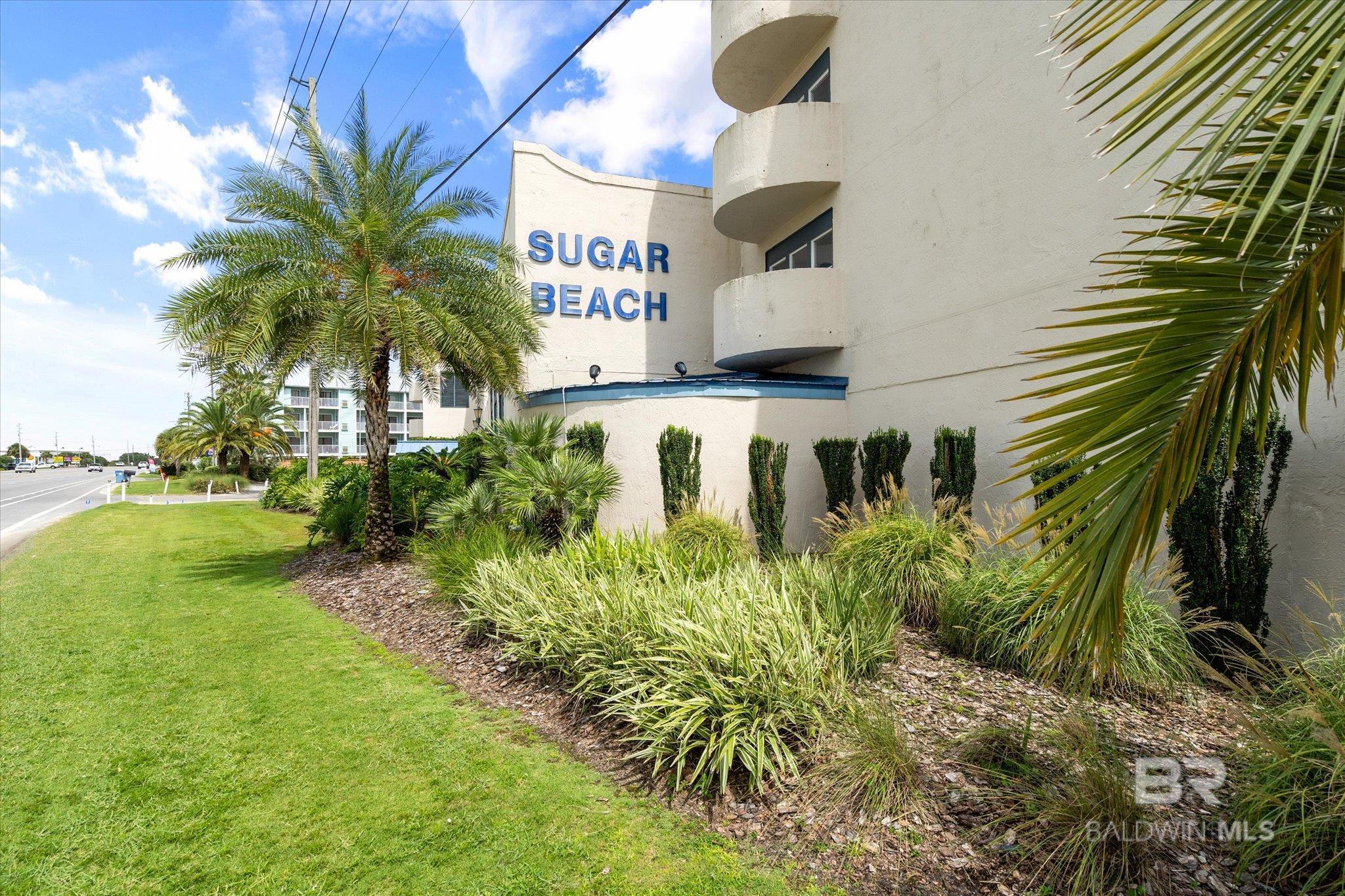 Photo of Listing #361502