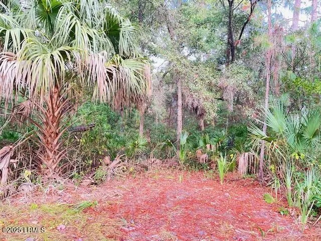 10 Ocean Marsh Court, St. Helena Island