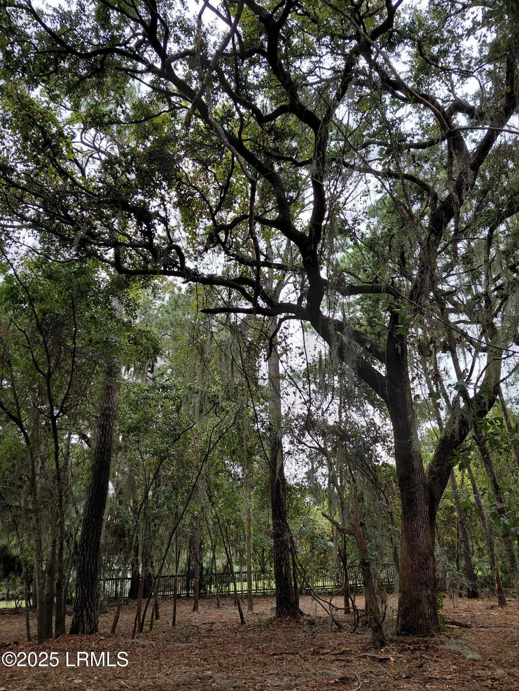 21 Fort Fremont Court N, St. Helena Island