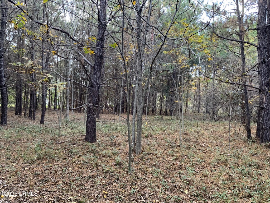 37 Pearl Harbor Drive, Seabrook