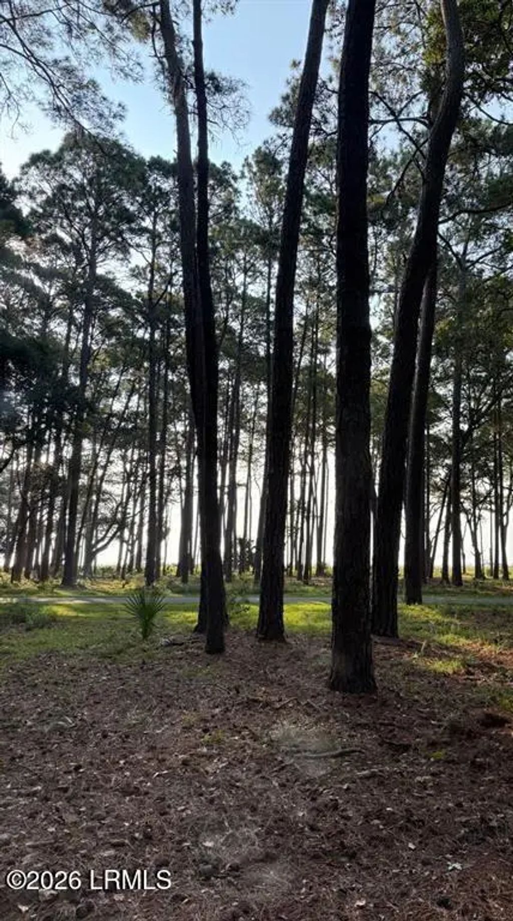 87 Martinangel Lane, Daufuskie Island