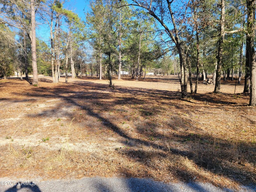 Tbd Beaver Dam Road, Ridgeland