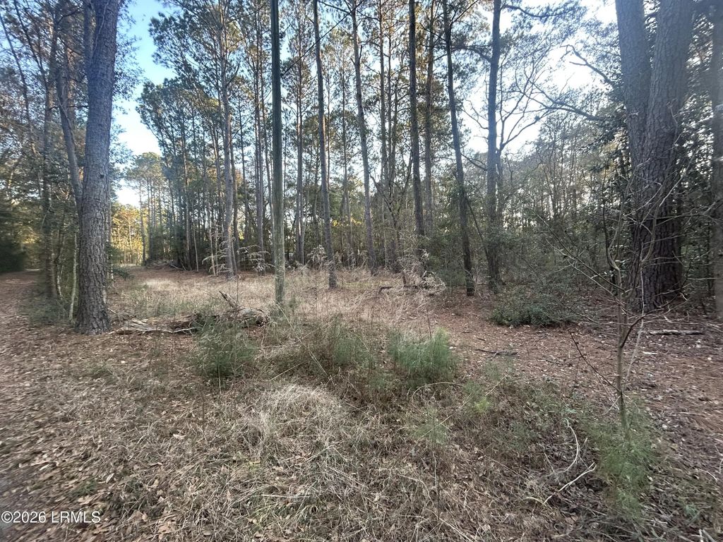 Tbd Harris Lane, St. Helena Island