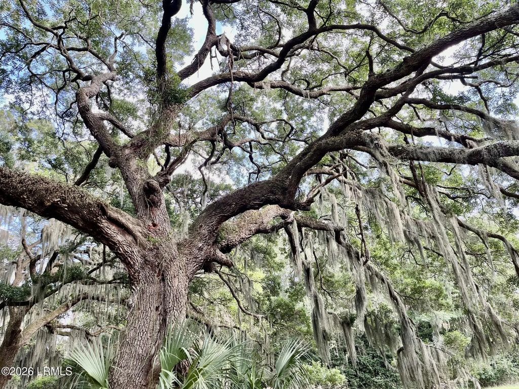 Tbd Mattis Drive, St. Helena Island