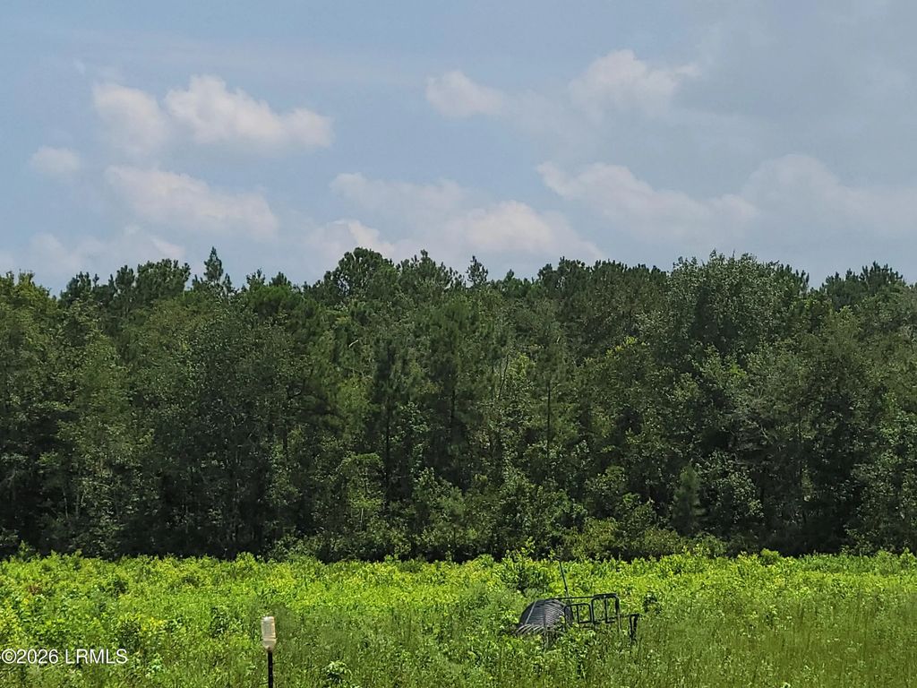 Tbd Toomerville Loop, Hardeeville