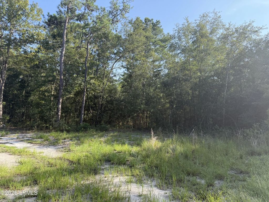 60 Rosa Scott Drive, St. Helena Island