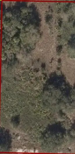 Photo of Listing #RX-11075246