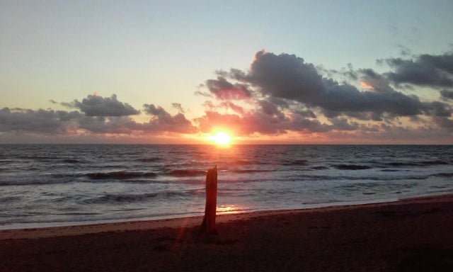 Photo of Listing #RX-11086205