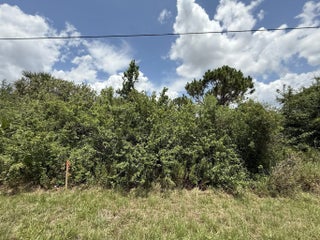 Photo of Listing #RX-11090034