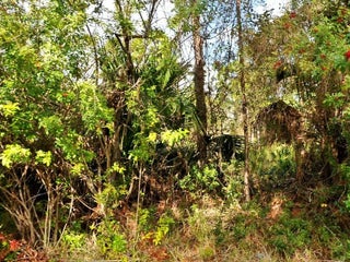 Photo of Listing #RX-11102788