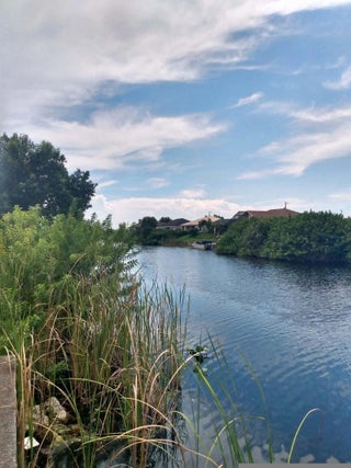 Photo of Listing #RX-11111470