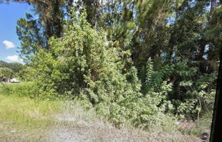 Photo of Listing #RX-11119423