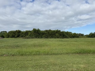 Photo of Listing #RX-11131056