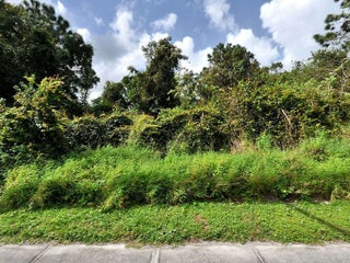 Photo of Listing #RX-11131074