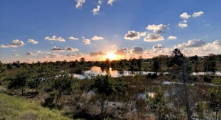 Photo of Listing #RX-11141275