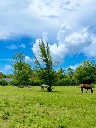 Photo of Listing #RX-11151454