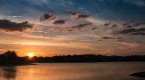 Photo of Listing #RX-11154465