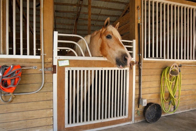 Photo of Listing #RX-11158134