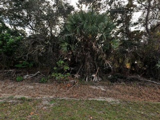 Photo of Listing #RX-11160071