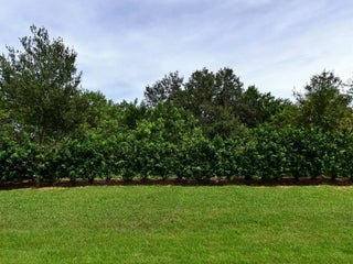 Photo of Listing #RX-11160375