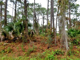 Photo of Listing #RX-11160416