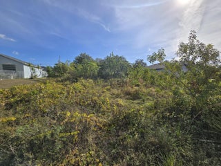 Photo of Listing #RX-11161187