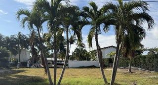 Photo of Listing #RX-11162384