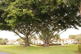 Photo of Listing #RX-11163040