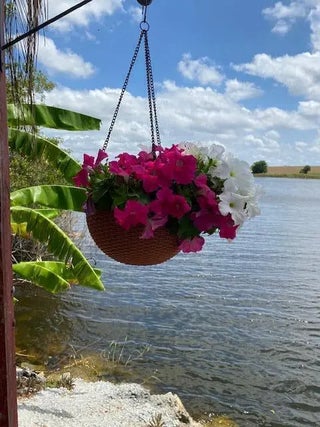 Photo of Listing #RX-11166652