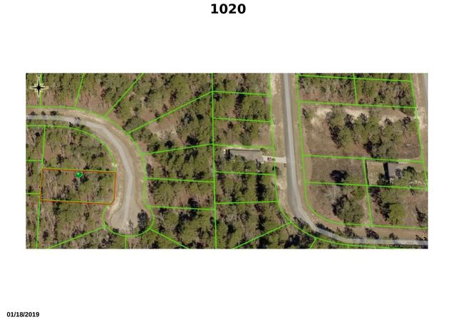 2 of 3 - 1020 W Riley Drive, Citrus Springs, FL
