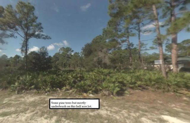 5 of 13 - 2309 Johns Avenue, Alva, FL