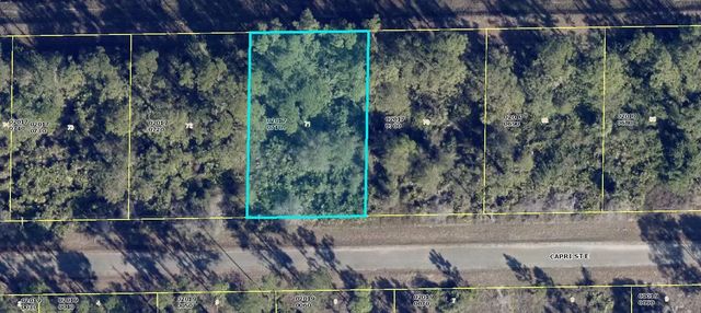 1113 Capri Street E, Lehigh Acres