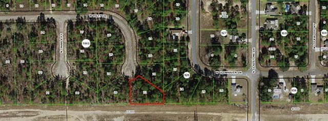 1005 W Riley Drive, Citrus Springs