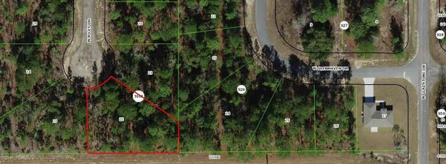 2 of 4 - 1005 W Riley Drive, Citrus Springs, FL