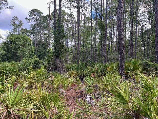 2 of 13 - 222 Marie Avenue, Georgetown, FL
