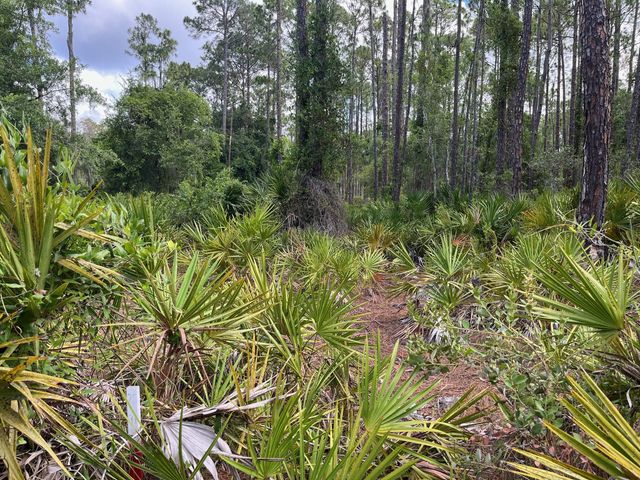 4 of 13 - 222 Marie Avenue, Georgetown, FL