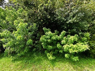 Photo of Listing #R10997096