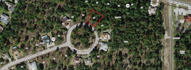 29 Smilax Court N, Homosassa