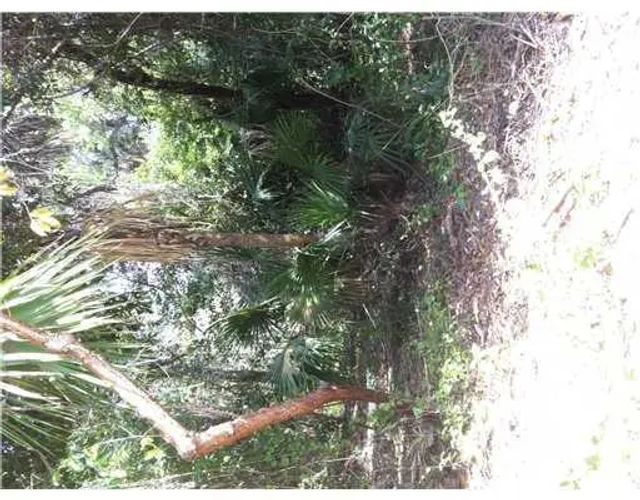 4 of 5 - N/A, , FL