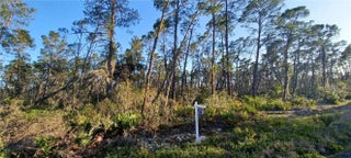 Photo of Listing #F10380465