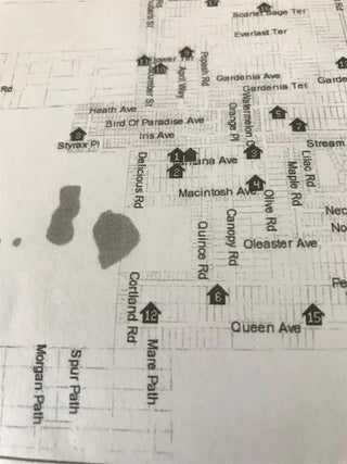 Photo of Listing #F10415538