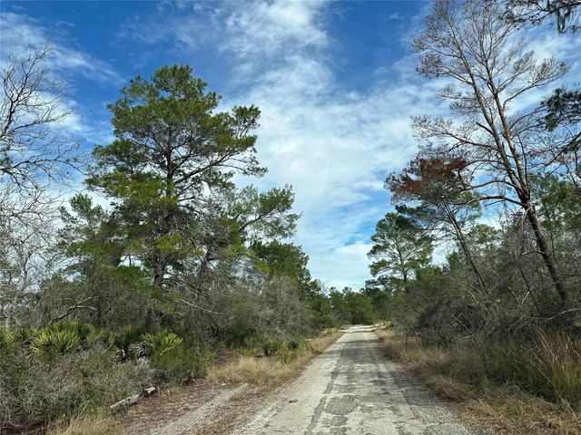 4508 Briarcliff Avenue, Sebring