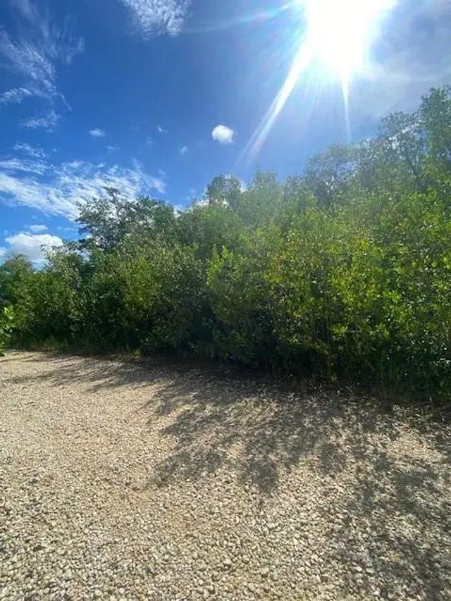 78 Otter Avenue, 