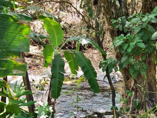 No # No De Piedra Y Tacares Alajuela Grecia C R, 