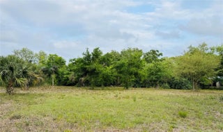 Photo of Listing #F10490991