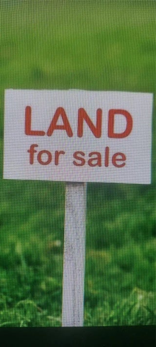 Photo of Listing #F10462472