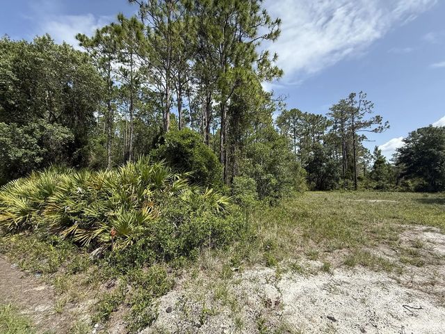 174 Millican Road, Palatka