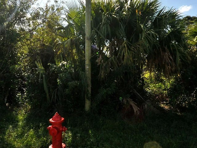 Photo of Listing #R11090946