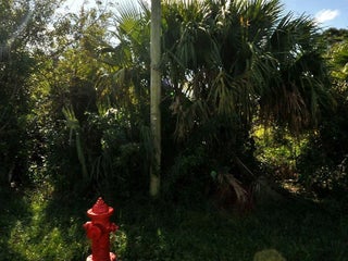 Photo of Listing #R11090946